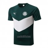 Camiseta de Entrenamiento Palmeiras 2022 2023 Verde