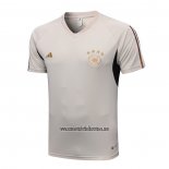 Camiseta de Entrenamiento Alemania 2022 2023 Gris