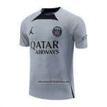 Camiseta de Entrenamiento Paris Saint-Germain Jordan 2022 2023 Gris
