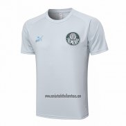 Camiseta de Entrenamiento Palmeiras 2023 2024 Gris