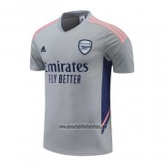 Camiseta de Entrenamiento Arsenal 2022 2023 Gris