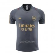 Camiseta de Entrenamiento Arsenal 2023 2024 Gris